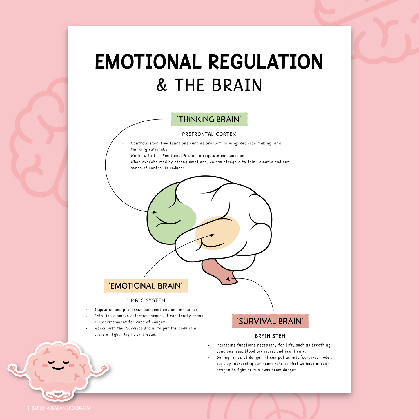 Emotional Regulation in the Brain