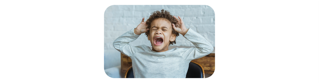 Dr. Siegel’s Hand Model of the Brain