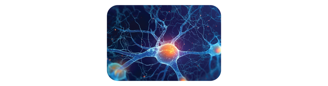 8 Polyvagal Exercises to Activate Your Vagus Nerve