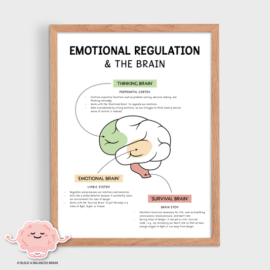 Emotional Regulation in the Brain
