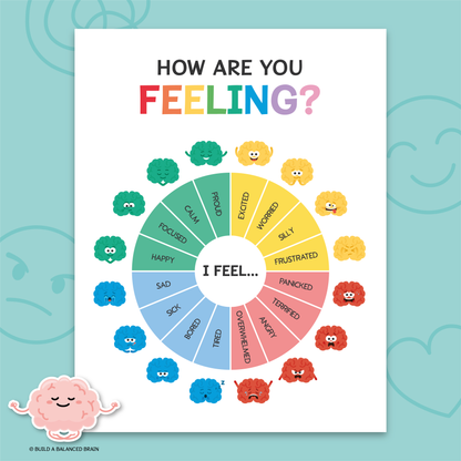Feelings Zones Wheel