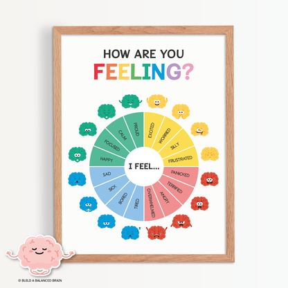 Feelings Zones Wheel