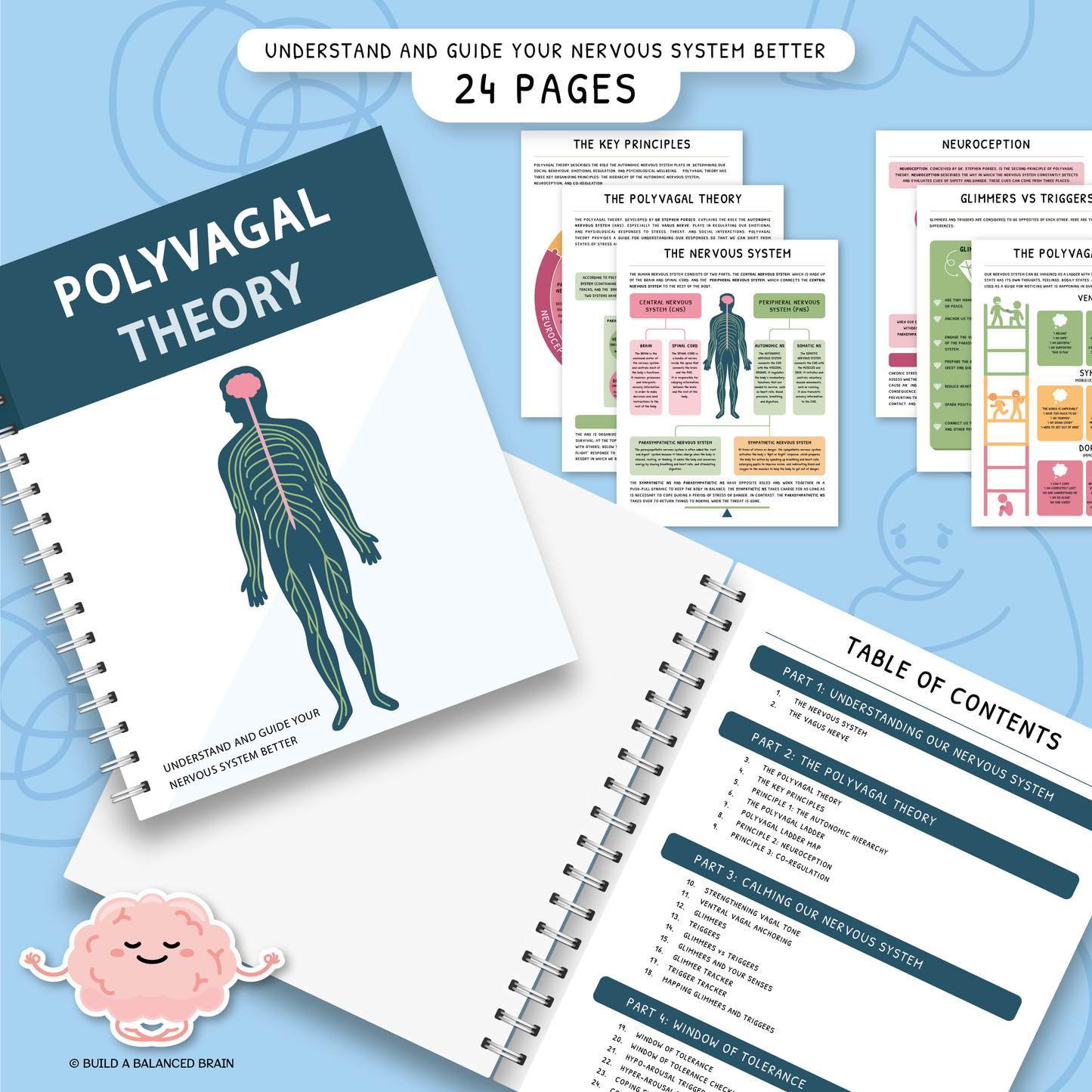 Polyvagal Theory - Nervous System Regulation Handbook