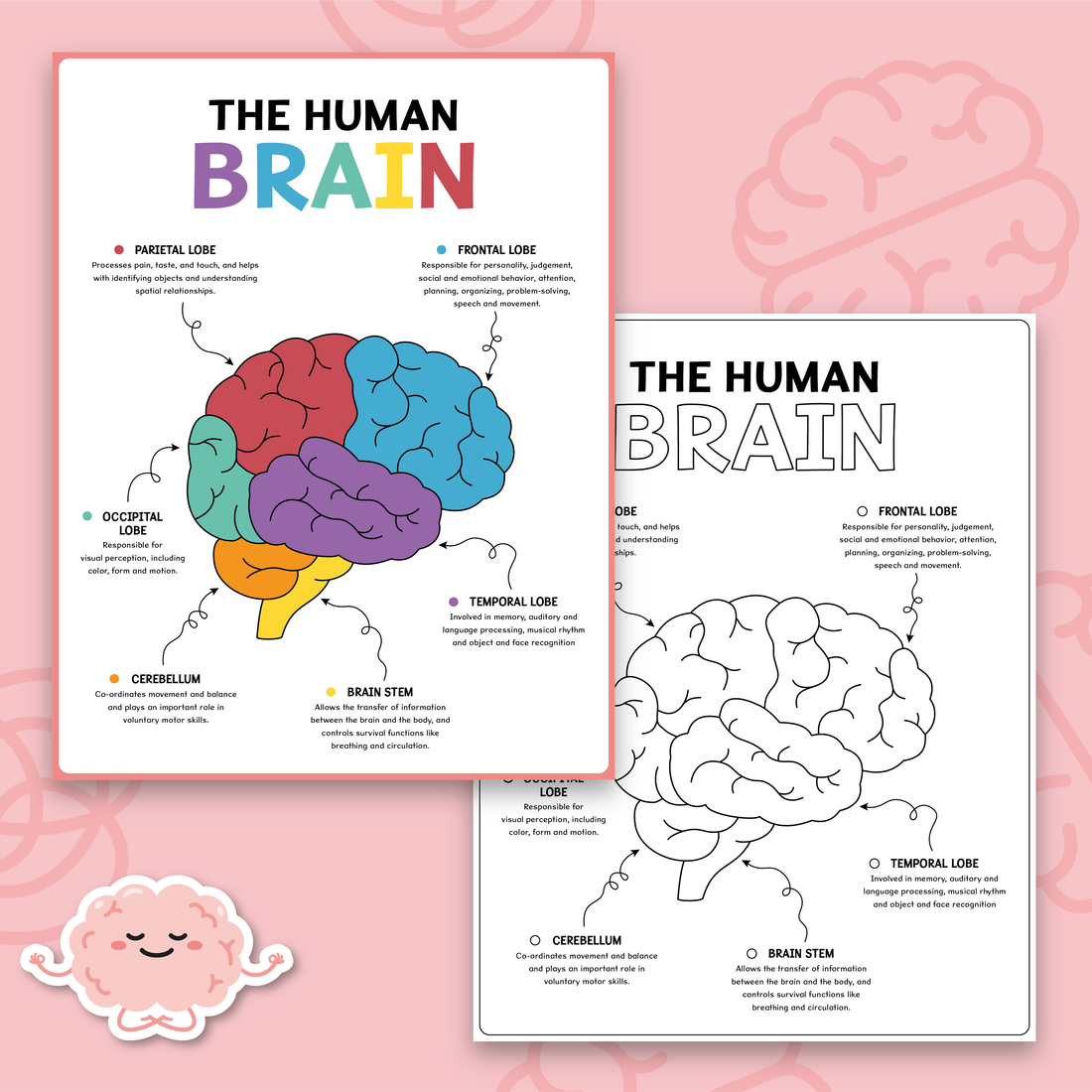 Human Brain Coloring Activity for Kids – Build a Balanced Brain