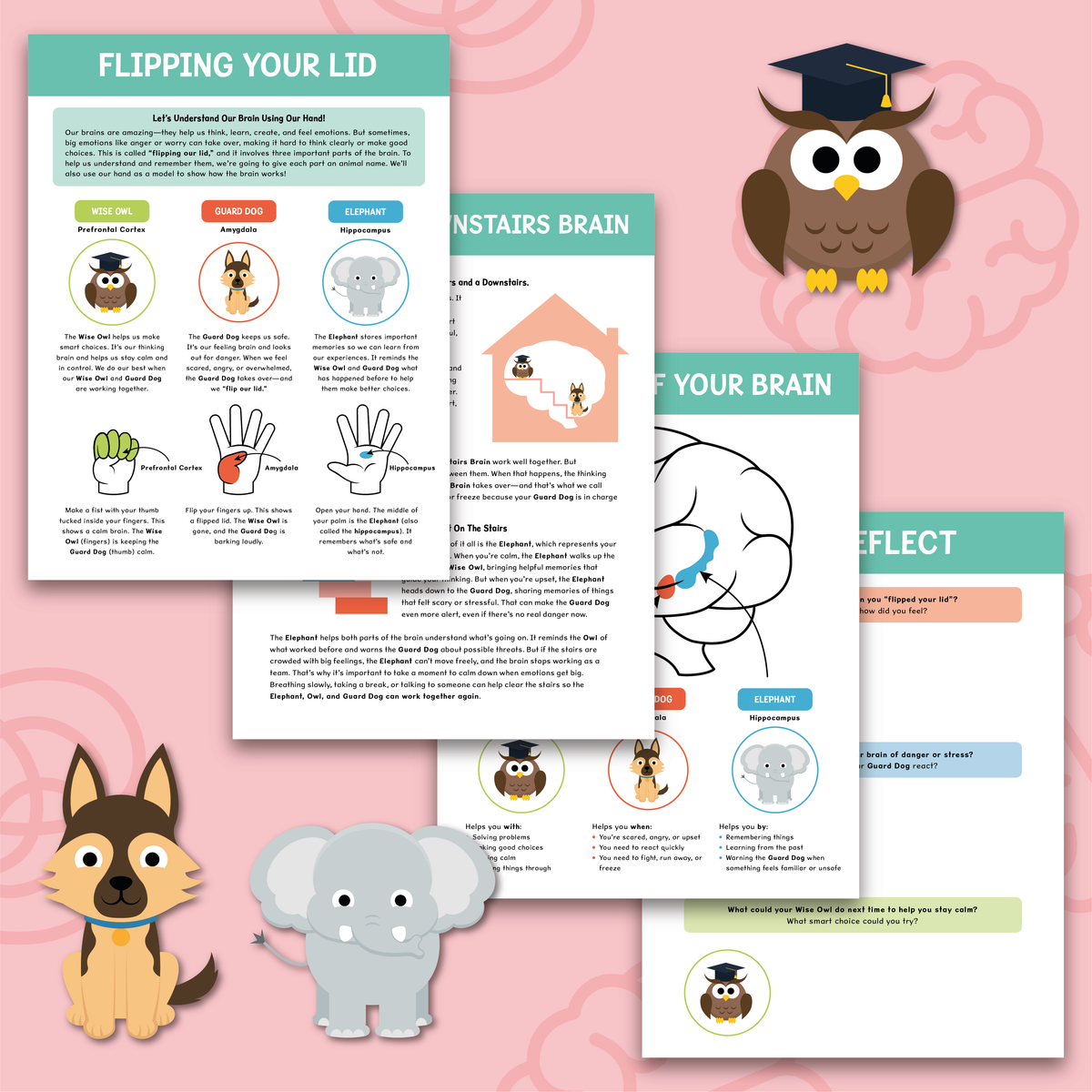 Brain Hand Model | Emotional Regulation | Flip Your Lid – Build a ...