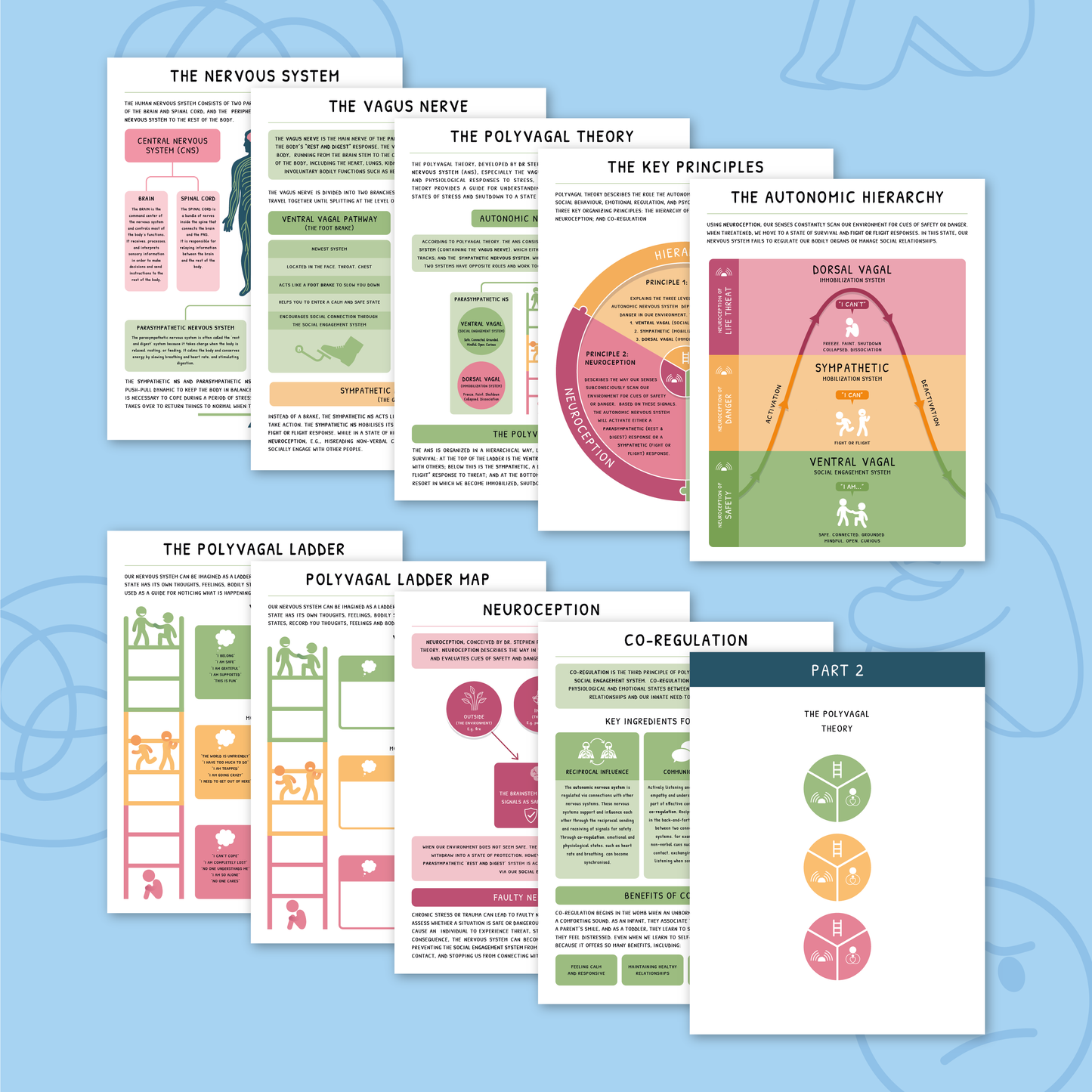 Polyvagal Theory - Nervous System Regulation Handbook