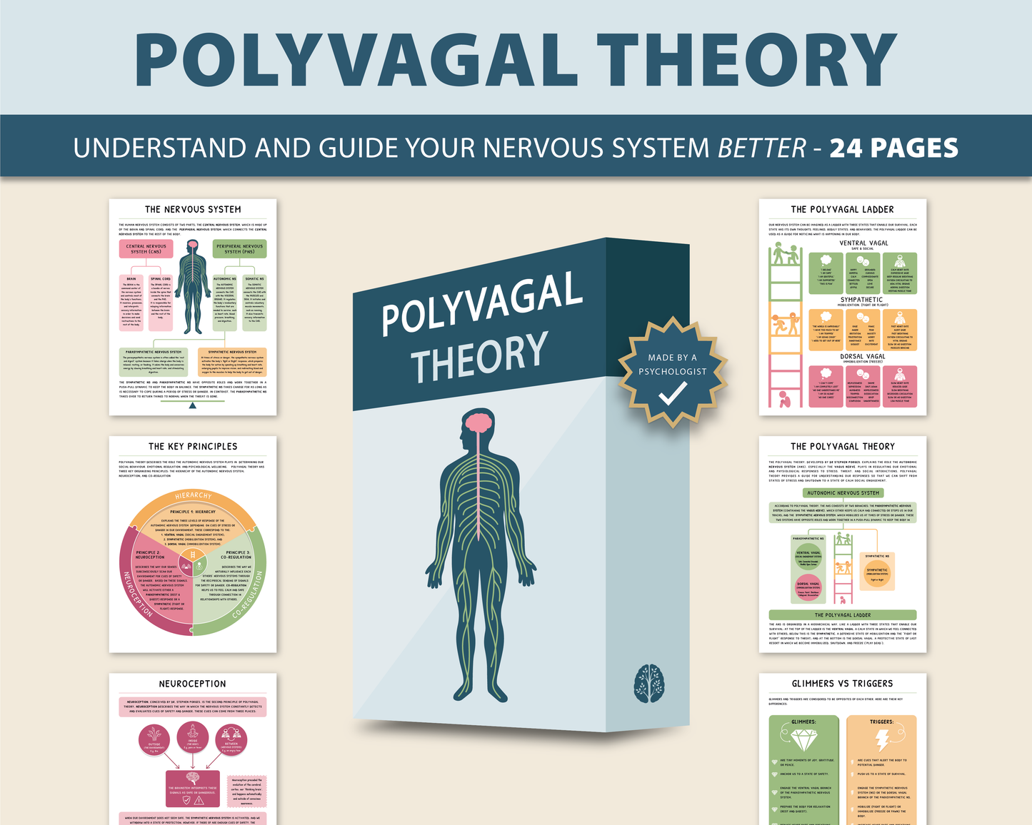 Polyvagal Theory - Nervous System Regulation Handbook